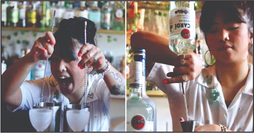 Vlineperol Career in Bartending